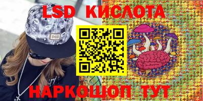 гидропоника Краснодар