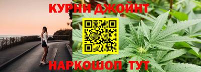 СК Краснознаменск